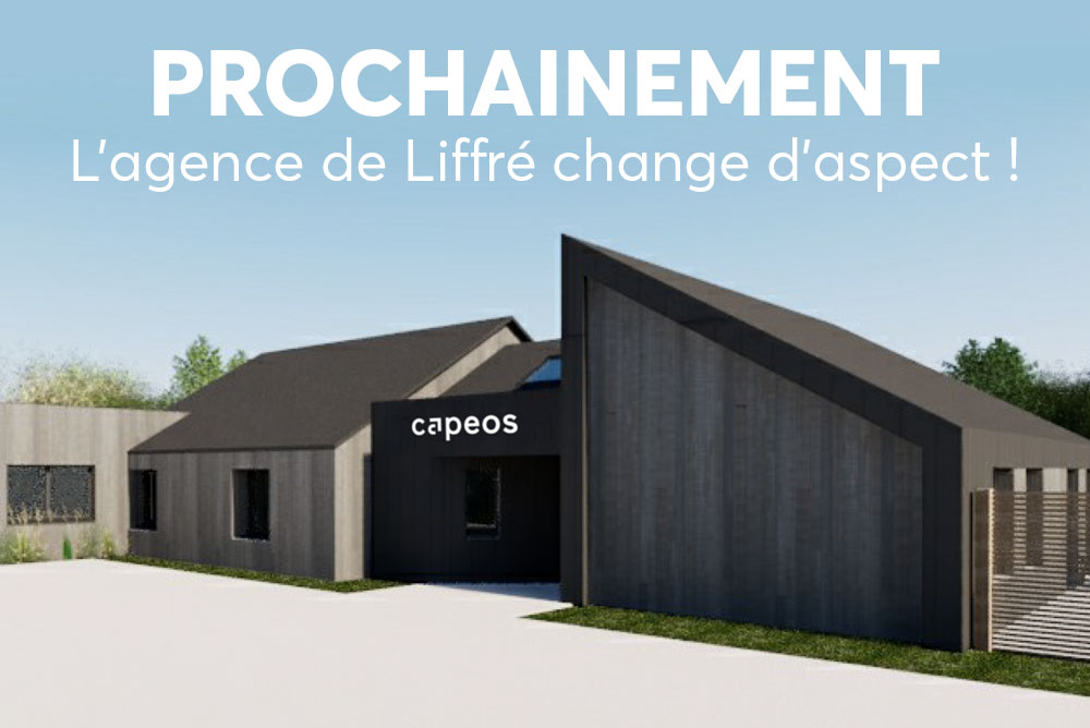 capeos conseils liffre