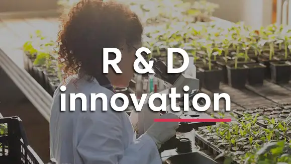 expertise comptable R&D innovation